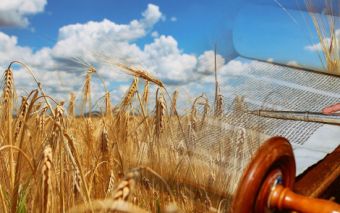 shavuot-background-1140x712 340